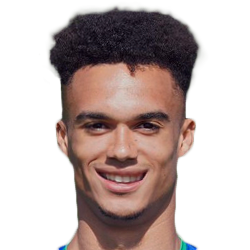 Antonee Robinson