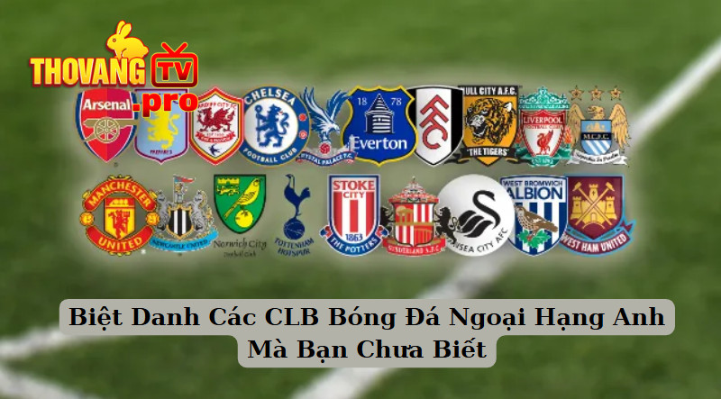 Biệt Danh Các CLB Bóng Đá Ngoại Hạng Anh Mà Bạn Chưa Biết