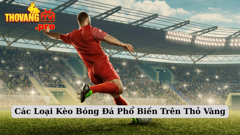 Các Loại Kèo Bóng Đá Phổ Biến Trên Thỏ Vàng