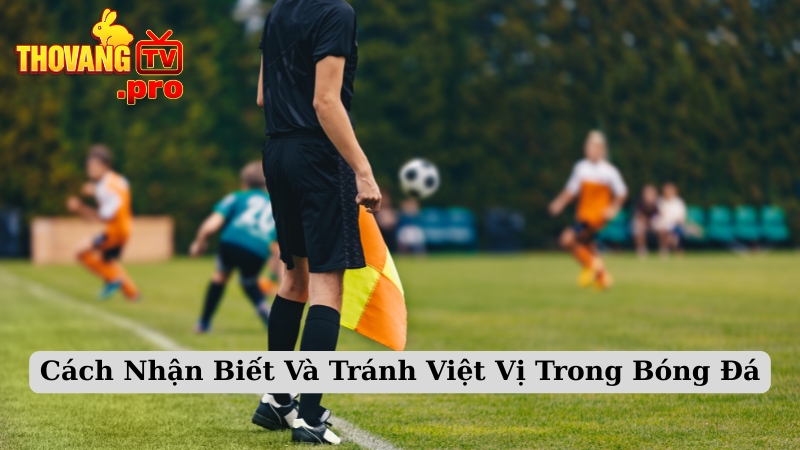 Cách Nhận Biết Và Tránh Việt Vị Trong Bóng Đá