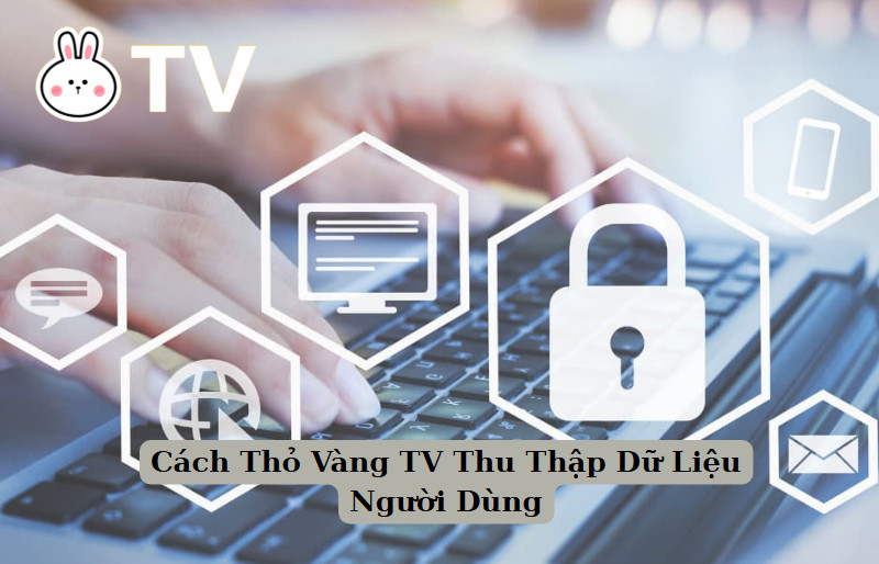 Cách Thỏ Vàng TV Thu Thập Dữ Liệu Người Dùng