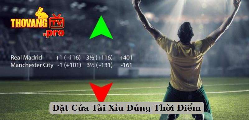 Đặt Cửa Tài Xỉu Đúng Thời Điểm