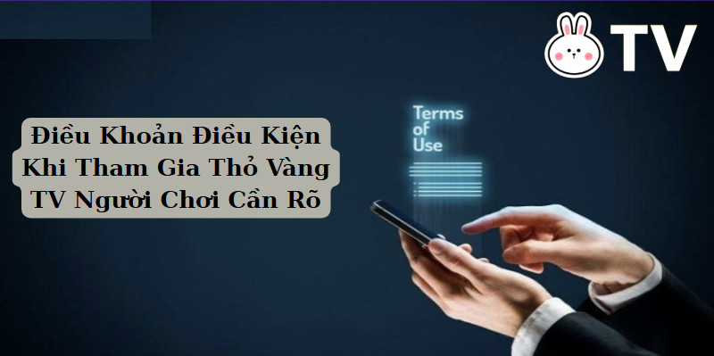 Điều Khoản Điều Kiện Khi Tham Gia Thỏ Vàng TV Người Chơi Cần Rõ