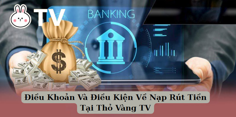 Điều Khoản Và Điều Kiện Về Nạp Rút Tiền Tại Thỏ Vàng TV