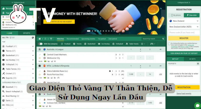 Giao Diện Thỏ Vàng TV Được Giới Thiệu Thân Thiện, Dễ Dùng Ngay Lần Đầu