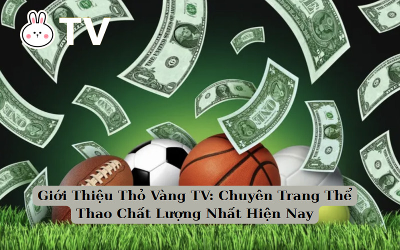 Giới Thiệu Thỏ Vàng TV: Chuyên Trang Thể Thao Chất Lượng Nhất Hiện Nay