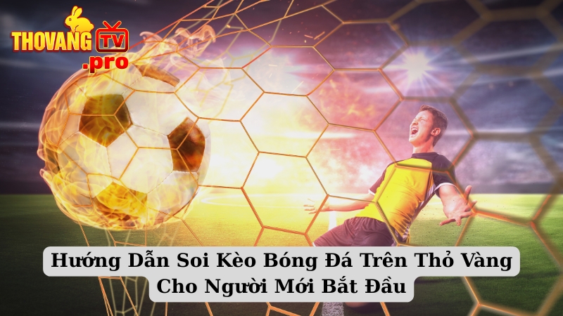Hướng Dẫn Soi Kèo Bóng Đá Trên Thỏ Vàng Cho Người Mới Bắt Đầu