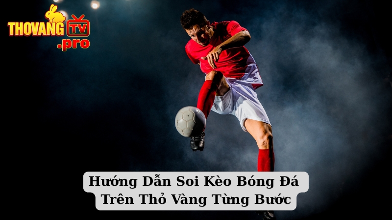 Hướng Dẫn Soi Kèo Bóng Đá Trên Thỏ Vàng Từng Bước