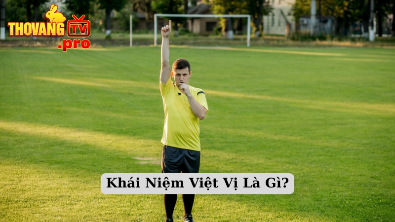 Khái Niệm Việt Vị Là Gì?