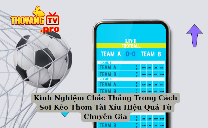 Kinh Nghiệm Chắc Thắng Trong Cách Soi Kèo Thơm Tài Xỉu Hiệu Quả Từ Chuyên Gia