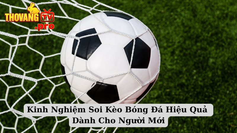 Kinh Nghiệm Soi Kèo Bóng Đá Hiệu Quả Dành Cho Người Mới