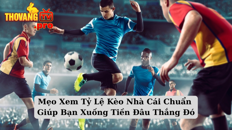 Mẹo Xem Tỷ Lệ Kèo Nhà Cái Chuẩn Giúp Bạn Xuống Tiền Đâu Thắng Đó