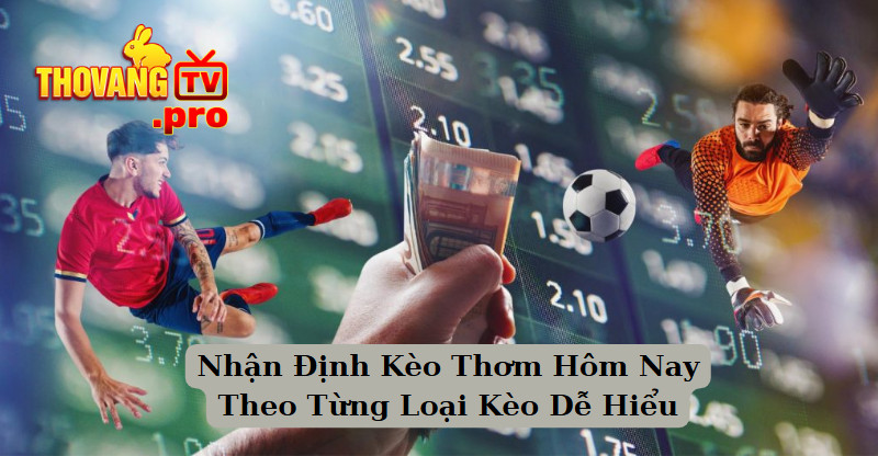 Nhận Định Kèo Thơm Hôm Nay Theo Từng Loại Kèo Dễ Hiểu