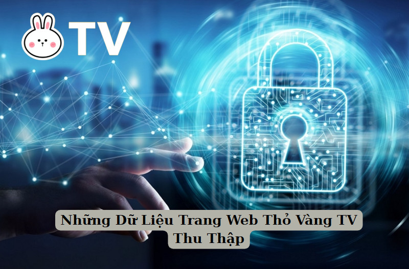 Những Dữ Liệu Trang Web Thỏ Vàng TV Thu Thập