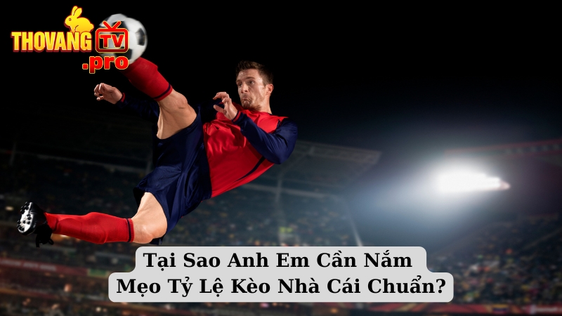 Tại Sao Anh Em Cần Nắm Mẹo Tỷ Lệ Kèo Nhà Cái Chuẩn?