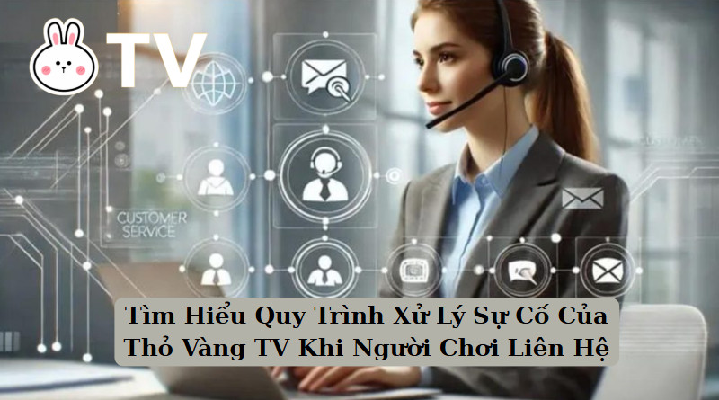Tìm Hiểu Quy Trình Xử Lý Sự Cố Của Thỏ Vàng TV Khi Người Chơi Liên Hệ