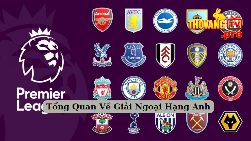 Tổng Quan Về Giải Ngoại Hạng Anh