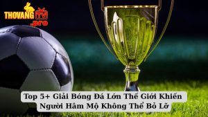 Top 5+ Giải Bóng Đá Lớn Thế Giới Khiến Người Hâm Mộ Không Thể Bỏ Lỡ