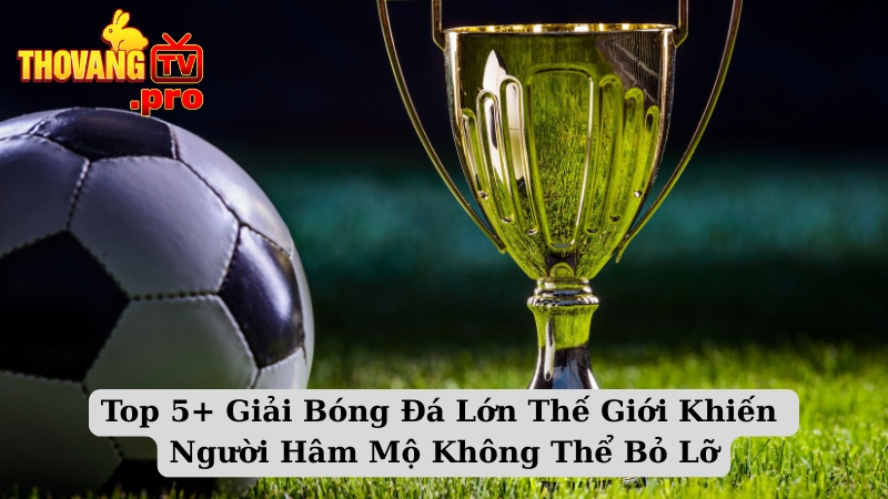 Top 5+ Giải Bóng Đá Lớn Thế Giới Khiến Người Hâm Mộ Không Thể Bỏ Lỡ
