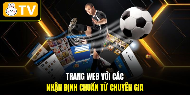 Trang web với các nhận định chuẩn từ chuyên gia